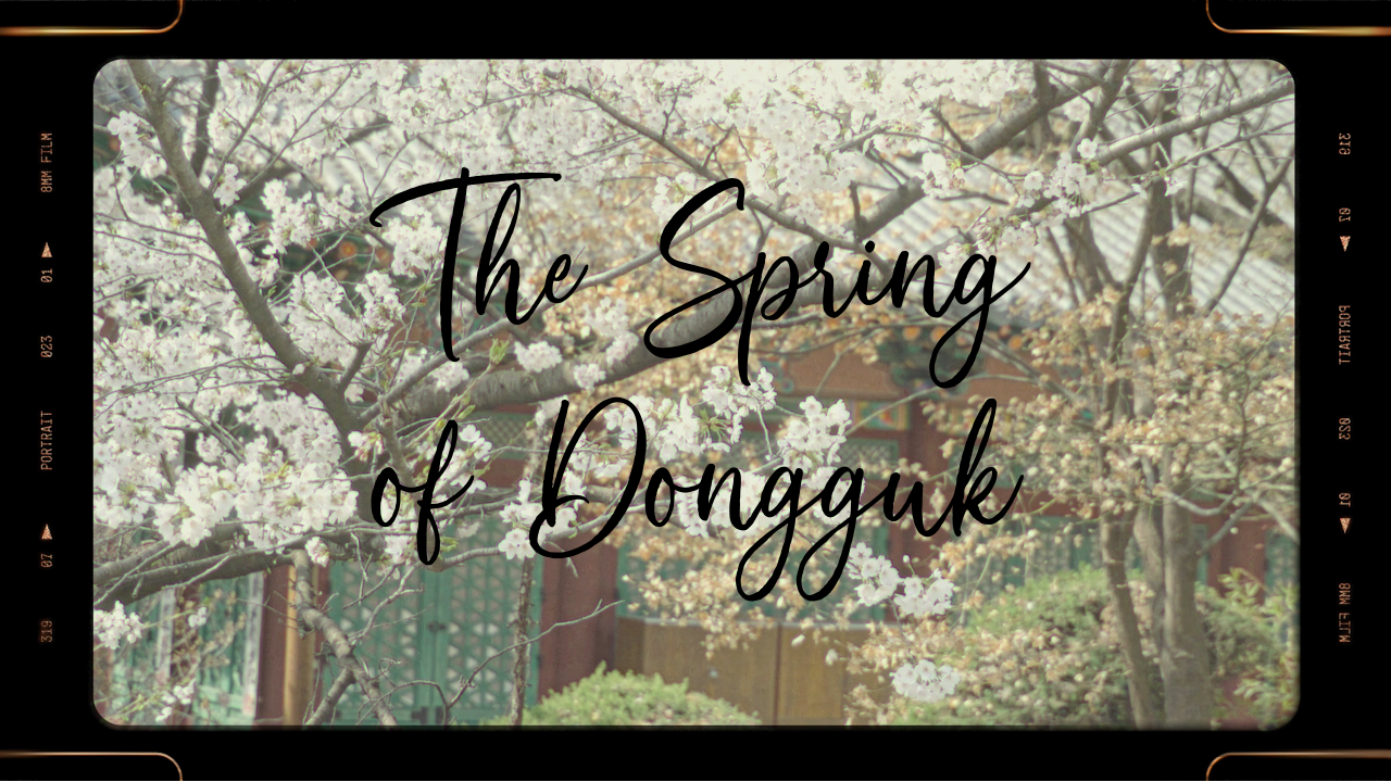 [동국필름] 🌸동국에 봄이 찾아 왔어요🌸｜2024 캠퍼스 벚꽃 필름