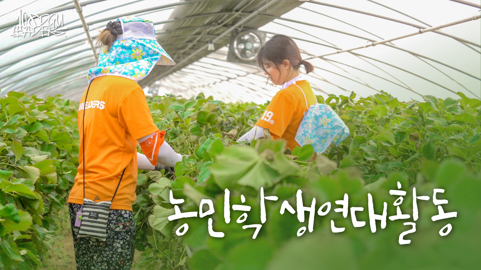 [동국108리더스] 2025 농촌 봉사활동 I 뜨거운 여름의 한가운데서 이어진 따뜻한 손길