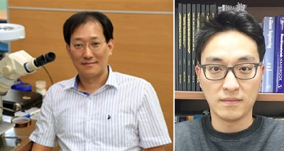 임현식・김교범 교수, 기초연구실 사업 수주