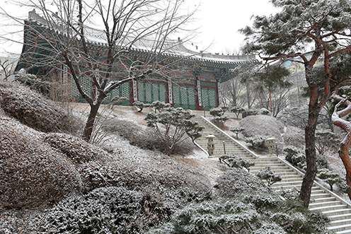 지역미래불자육성장학