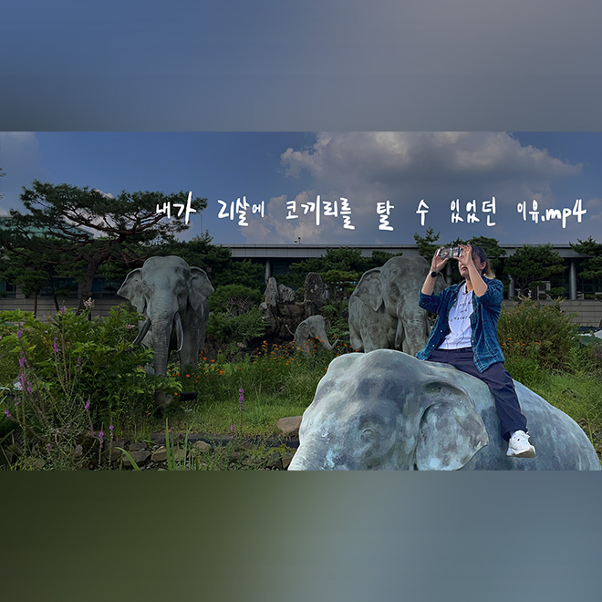 [무한동전] 팔정도 코끼리 상에 올라가면 퇴학당할까?🐘