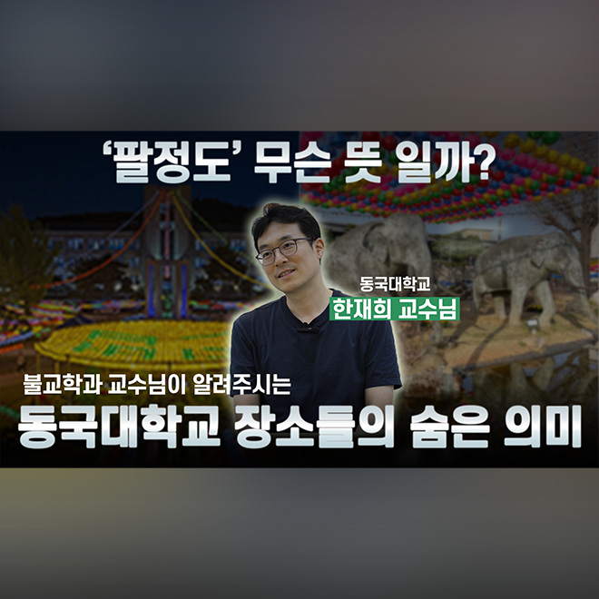 [알쓸동잡] 절과 불상이 있는 대학교가 있다? 동국대학교 불교 장소들의 숨은 의미🤩🪷 | 정각원, 팔정도, 코끼리, 연꽃